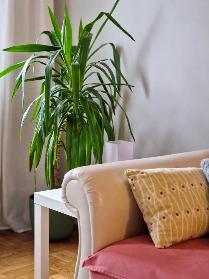 Quiet Center Apartman Szávaszentdemeter Kültér fotó